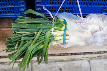 Bunch of fresh green onions. Traditional catalan calcots onions against