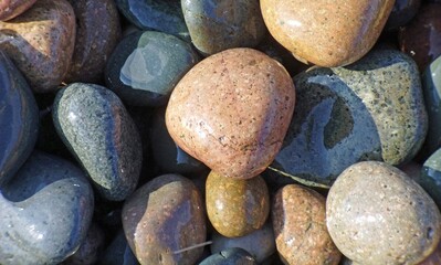 A close-up view of assorted pebbles and stones with varied colors and textures on a rocky surface