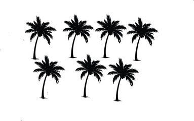 Obraz premium Palm tree silhouette collection, tropical nature icons, summer beach elements, black vector palm shapes, 