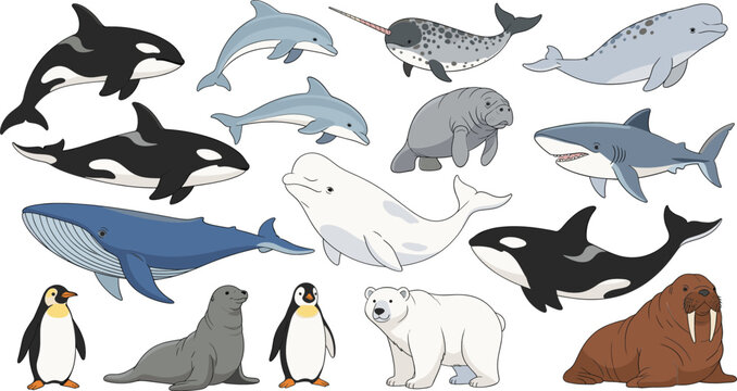 Set of cute hand drawn marine animals including orca whale dolphin shark polar bear penguin seal narwhal and walrus vectors.
