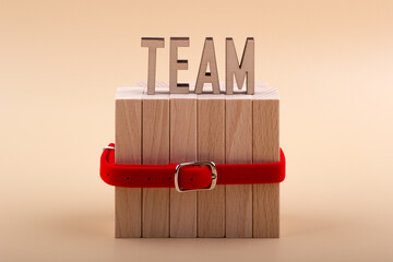 The word TEAM is made from wooden letters on a group of blocks connected by a red belt on beige background. Teamwork unity concept