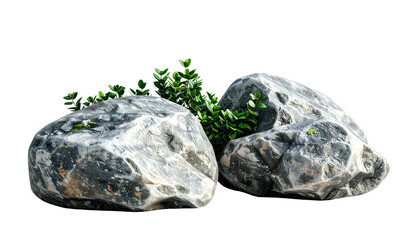 Two textured grey rocks with green foliage emerging, isolated on a black background