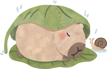 Sleeping Capybara under Big Leaf with Snail on Rainy Day