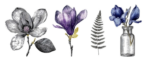 Detailed Botanical Stipple Engravings of Various Plants and Flowers for Educational Use
