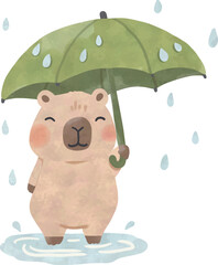 Cute Capybara Standing with Leaf Umbrella in the Rain