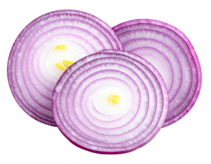 Sliced red onions showing internal layers