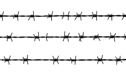 Three parallel strands of dark, sharp, metallic barbed wire against a stark, black background