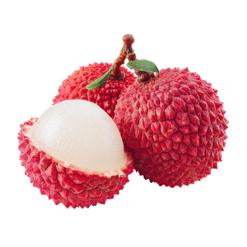 lychee fruits isolated on white or transparent png