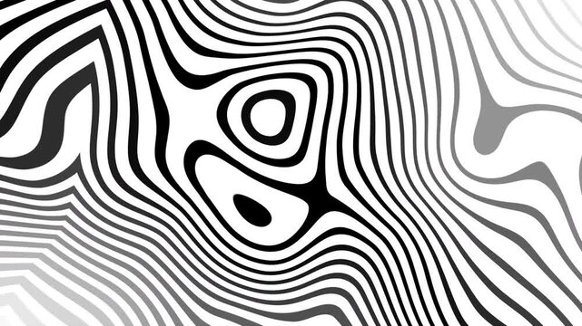 Dynamic and abstract zebra animation with black and white undulating lines, perfect for backgrounds or motion graphic designs.