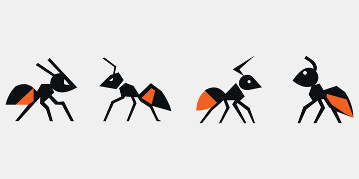 Premium Ants illustration design