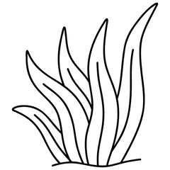 plant leaf underwater