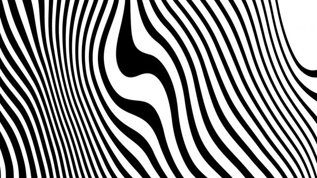 Zebra animation features abstract black and white wavy pattern. Suitable for backgrounds, design elements, and artistic projects. Striped animal inspiration.