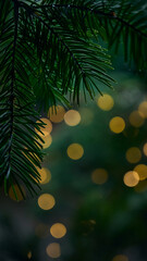Green Christmas tree branch and yellow lights garlands blurred in bokeh