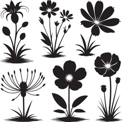 Elegant black silhouette flowers set isolated on transparent background