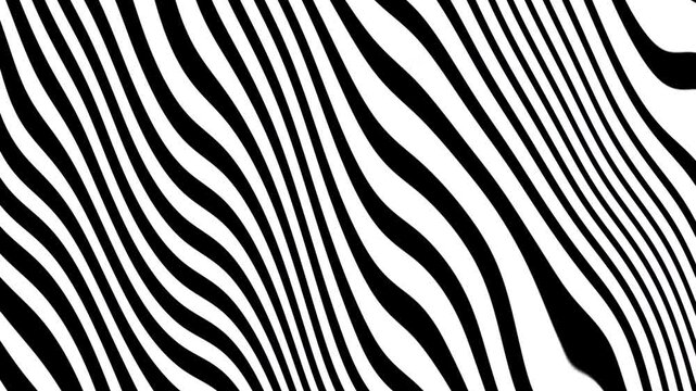Zebra animation featuring abstract black and white stripes design. Ideal for web backgrounds, motion graphics.