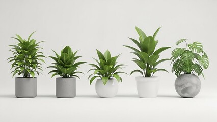 Five potted green houseplants with varying leaf shapes and planter styles including grey concrete, grey cylindrical, white round, white