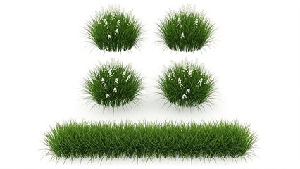 Four round bushy green plants with small white flowers and a horizontal row of green grass with white flowers on a white background, landscaping