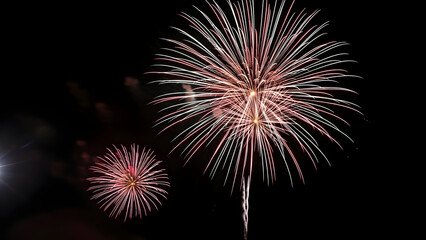 Vibrant fireworks display against dark night sky
