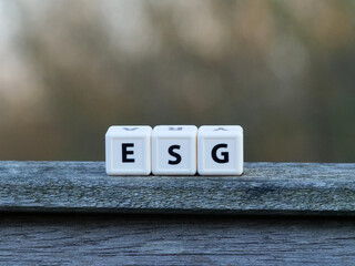 ESG cubes Environment, Social, and Governance on a wooden railing, copy and text space