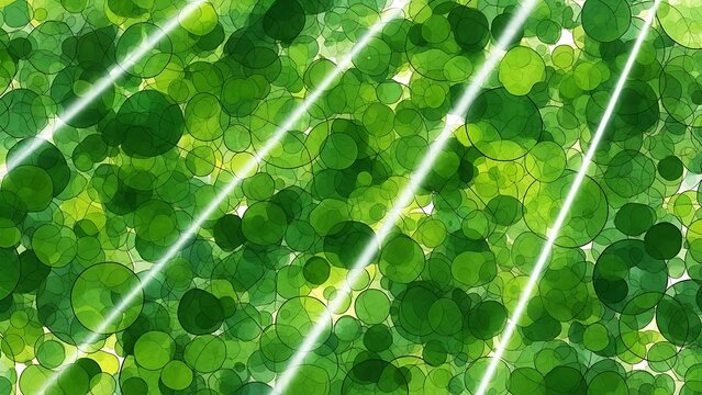Captivating abstract background of vibrant green circles, brilliantly illuminated by luminous diagonal light streaks, evoking natural energy and fresh vitality - Powered by Adobe