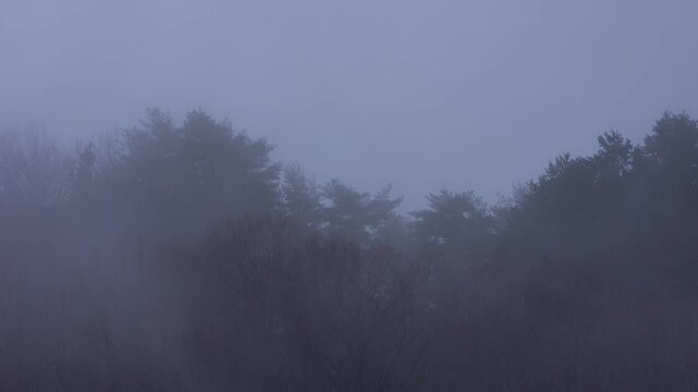 [8K to 4K] 凍てつく冬の朝に現れる河口湖の山々｜冷気と霧の神秘的な光景