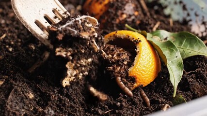 Organic food waste composting process with soil and vegetable scraps close up video
