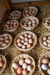 Fresh Brown Farm Eggs in Wicker Baskets on a Bed of Straw