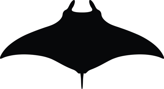Manta Ray Silhouette Vector Illustration on White Background