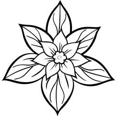 borage line art on white background