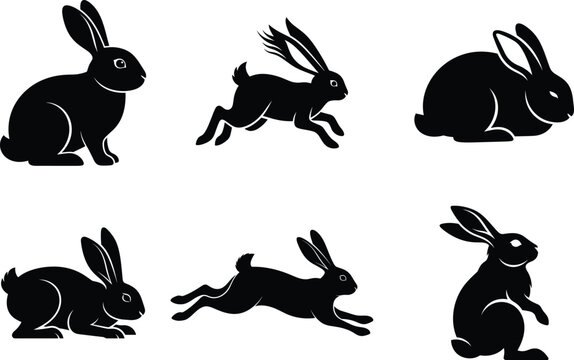 Six silhouettes of rabbits in various poses isolated on white background, Vector, illustration