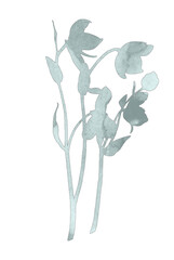 Watercolor drawing green grass and flowers, painted wild plants. Set with wild plant . flowers in green grass, painted botanical illustration in vintage style, color floral composition.