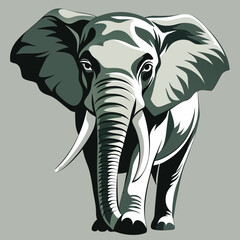 elephant vector illustration