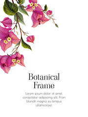 Tropical frame with bougainvillea flower. Botanical template with a delicate branch of an exotic plant. Floral decoration for cards, invitations
