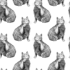 Seamless hand-drawn pencil pattern with a fluffy sitting cat raising one paw. Black and white sketch style on a white background. Great for paper, fabric, wrapping, and pet-themed design.