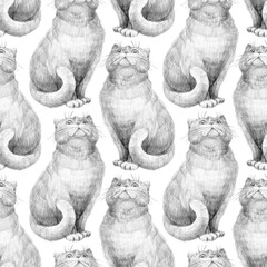 Seamless pencil sketch pattern featuring British Shorthair cats sitting with curled tails. Hand-drawn in black and white on a white background. Suitable for wrapping paper, textiles, and pet designs