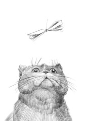 Pencil drawing of a cat looking up at a paper butterfly hanging on a string. Hand-drawn sketch on white background. Ideal for children's prints, cards, and coloring books.