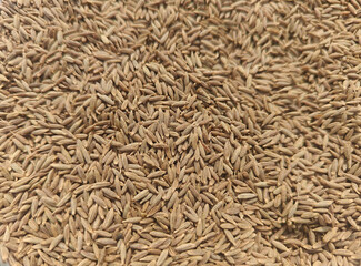 Close up shot of pile of  cumin seeds.