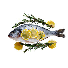 Freshly caught fish garnished with rosemary and vibrant lemon slices, ideal for culinary projects, restaurant menus, or promoting healthy eating habits.