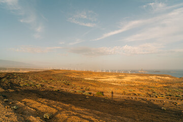 Beautiful coastal view near Playa Montana Pelada beach in Tenerife, Canary islands, Spain. Travel concept.