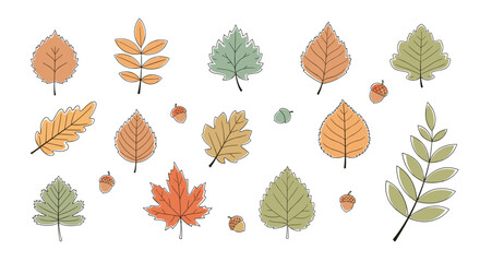 Obraz premium Assorted collection of autumn leaves in various shapes and colors including orange yellow and green with small acorns on a white background.