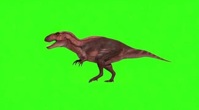 Dinosaur In a natural movement on green screen background.
