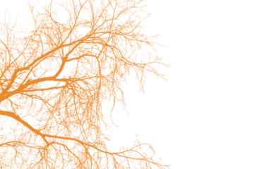 Orange and Black Vertical Split Background image graphic