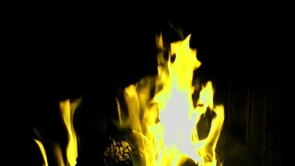 A gripping exploration of how burn transitions symbolize intense emotional and physical transformations. This film uses fire as a powerful visual tool to portray change and personal growth