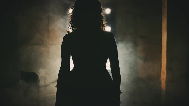 shadow silhouette retro lady back rear view walking in dark black room fool smoke go to mirror with retro lamps looking into reflection. sexy woman burlesque style. flapper girl 20s roaring twenties.