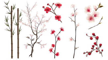 Winter seasonal Japanese icons with bamboo segments and plum blossom on transparent background