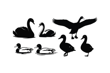 Naklejka premium Swan and Duck Silhouette Vector Set Waterfowl Icons for Nature and Wildlife Design