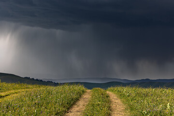 rainbow over the field