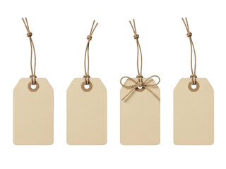 Set of Four Blank Kraft Paper Tags with Jute String Hanging Loops