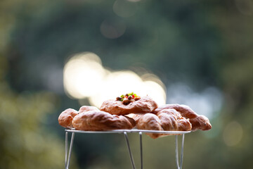 Nutritious Cheese Whole Wheat Bread for Breakfast