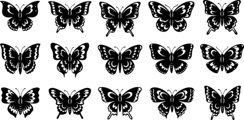 Monochrome Butterfly Species Collection